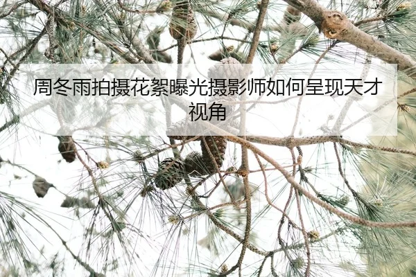 zhou-dong-yu-pai-she-hua-xu-bao-guang-she-ying-shi-ru-he-cheng-xian-tian-cai-shi-jiao-2-922.jpg